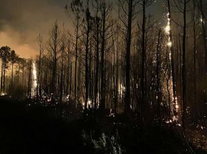 South Carolina wildfires continue